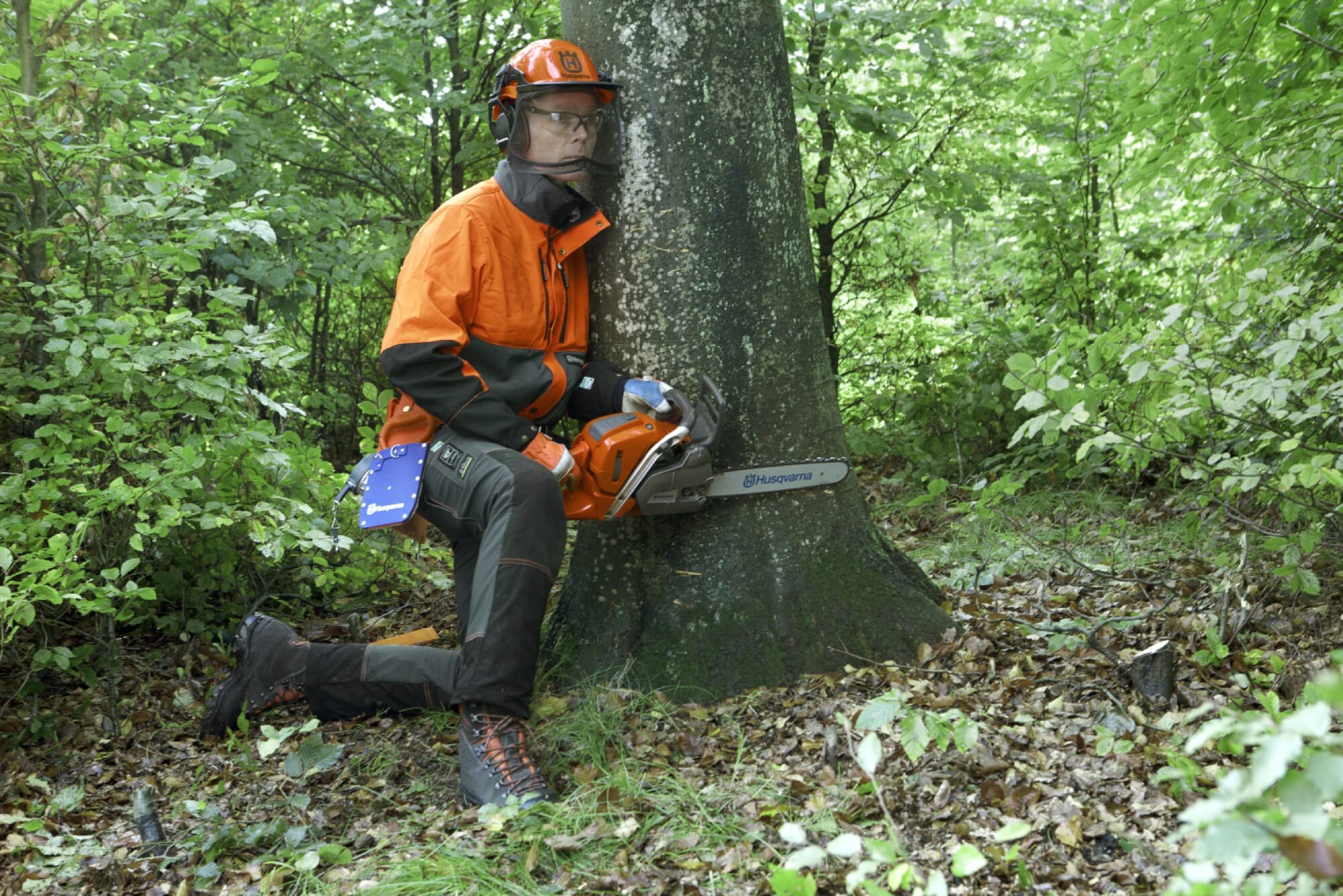 Forestry worker with left leg on the ground and leaning with left shoulder on the trunk, preparing to make a top cut