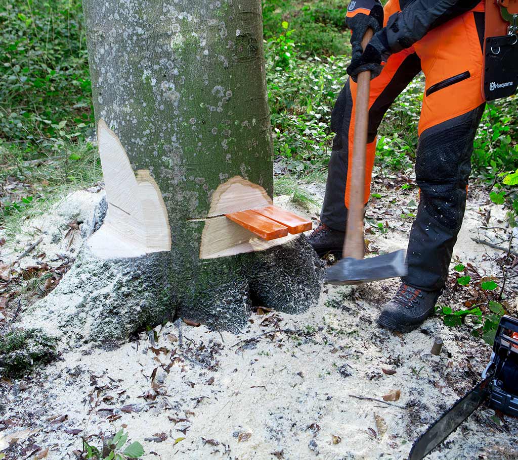 Images Working with chainsaws, part 2